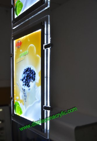 portrait led window displays